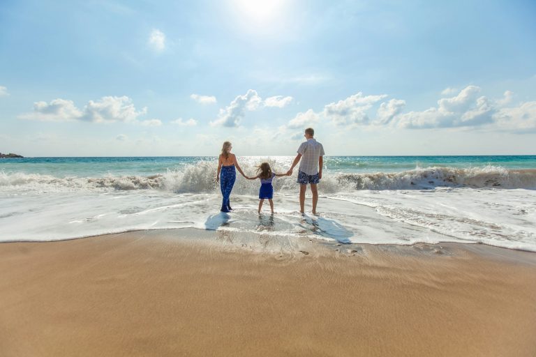 A Family Holiday Album